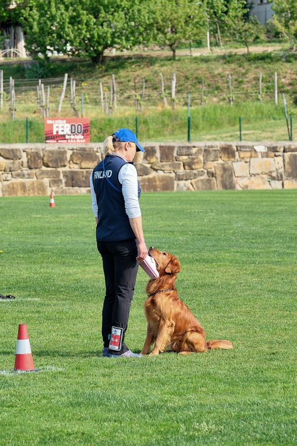 DSCF6784_Vipolže_19042026 1.JPG