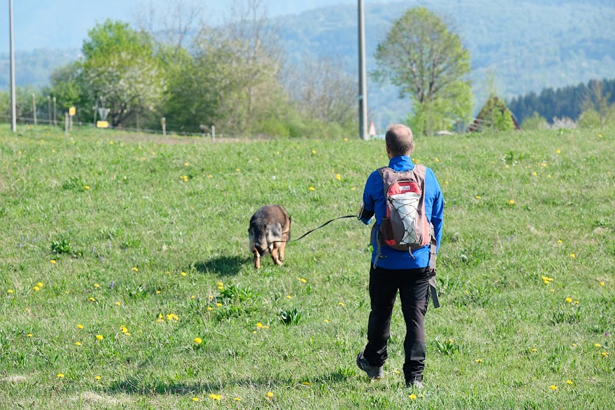 FCI SAR WC 2026_Foto-Andrej Gustincic_41.jpg