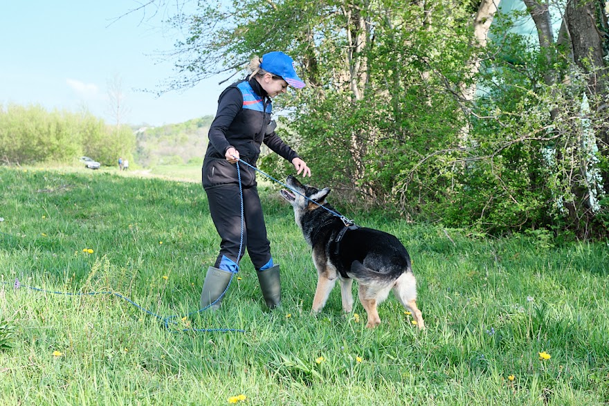 FCI SAR WC 2026_Foto-Andrej Gustincic_23.jpg