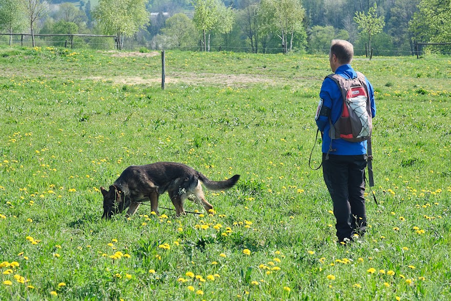 FCI SAR WC 2026_Foto-Andrej Gustincic_42.jpg