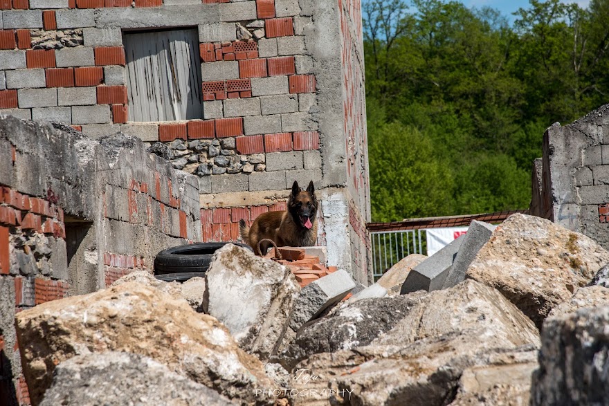 FCI SAR WC 2026_Foto-Taja G Bodljaj_161.jpg