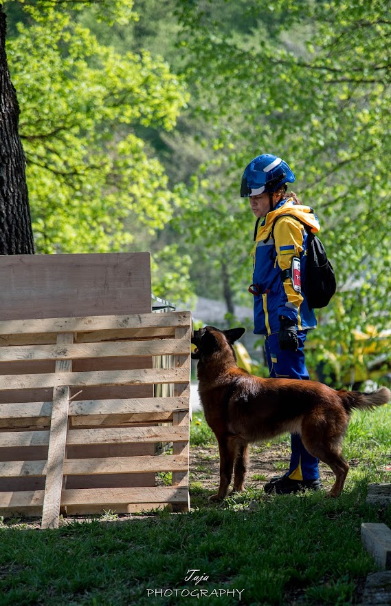 FCI SAR WC 2026_Foto-Taja G Bodljaj_106.jpg
