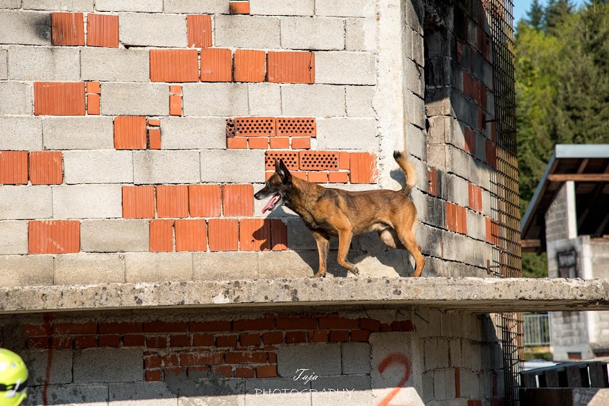 FCI SAR WC 2026_Foto-Taja G Bodljaj_19.jpg