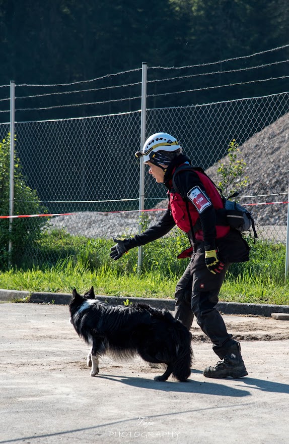 FCI SAR WC 2026_Foto-Taja G Bodljaj_37.jpg