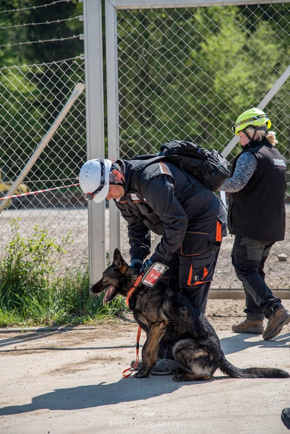FCI SAR WC 2026_Foto-Taja G Bodljaj_139.jpg