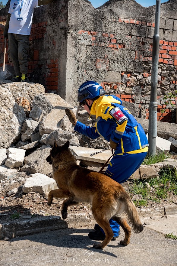 FCI SAR WC 2026_Foto-Taja G Bodljaj_156.jpg
