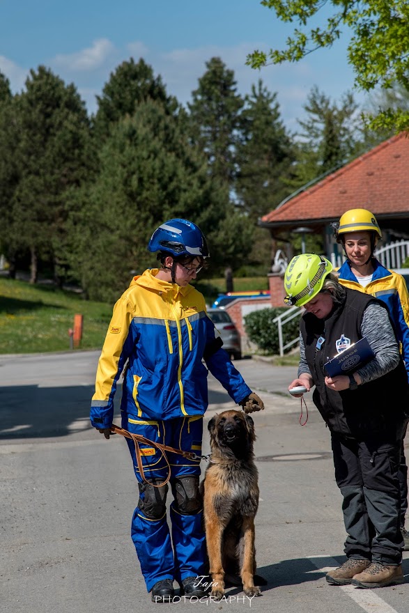 FCI SAR WC 2026_Foto-Taja G Bodljaj_149.jpg