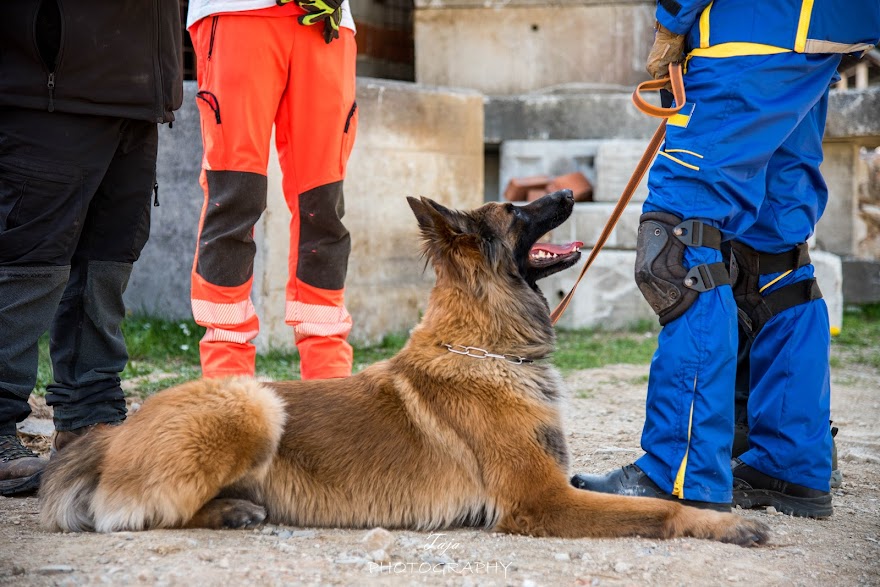 FCI SAR WC 2026_Foto-Taja G Bodljaj_171.jpg