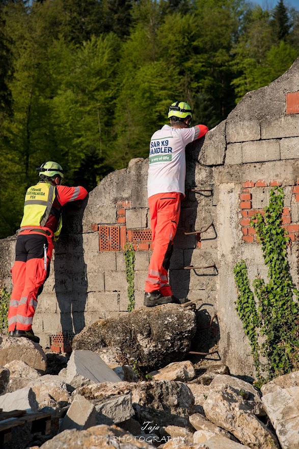 FCI SAR WC 2026_Foto-Taja G Bodljaj_6.jpg