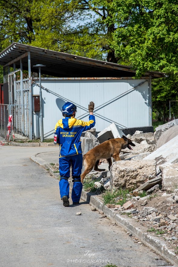 FCI SAR WC 2026_Foto-Taja G Bodljaj_164.jpg