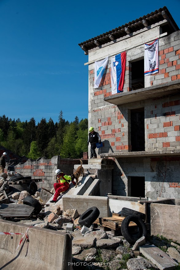 FCI SAR WC 2026_Foto-Taja G Bodljaj_63.jpg