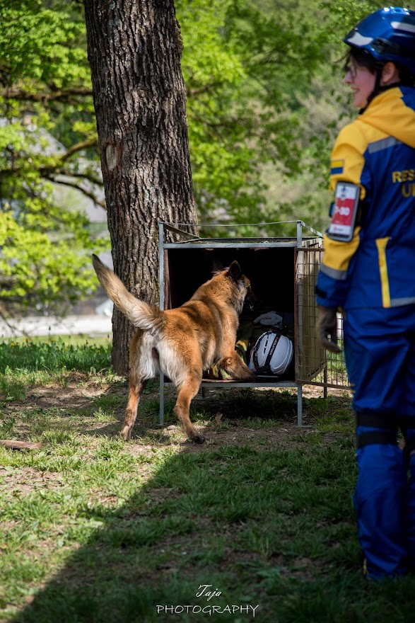 FCI SAR WC 2026_Foto-Taja G Bodljaj_153.jpg