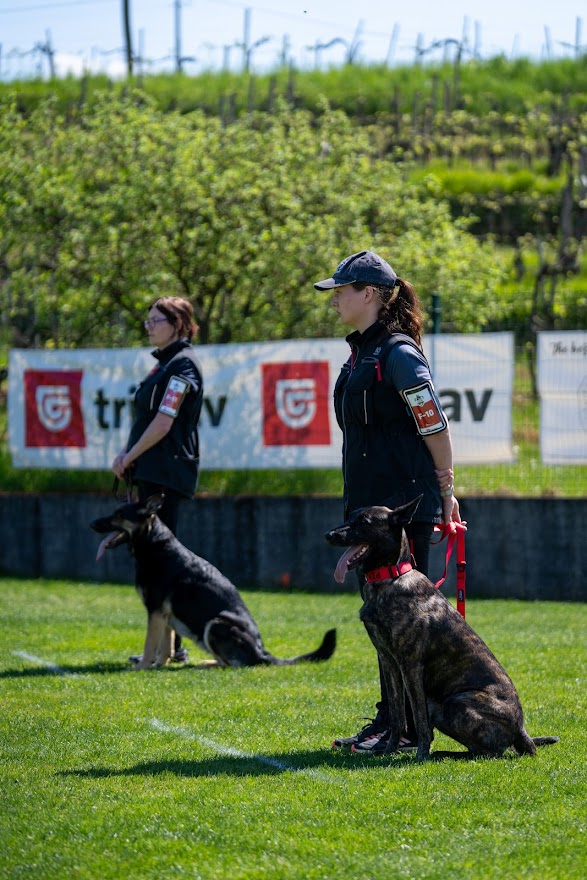FCI SAR WC 2026_Foto-Miha Avgustin_119.jpg