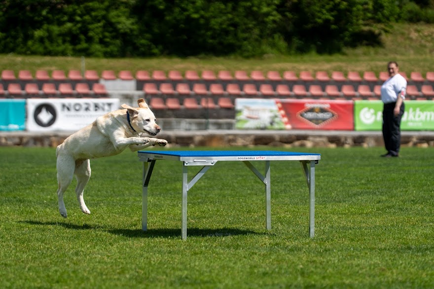 FCI SAR WC 2026_Foto-Miha Avgustin_177.jpg