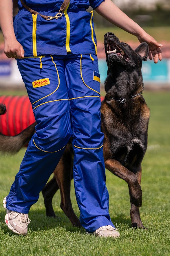 FCI SAR WC 2026_Foto-Miha Avgustin_184.jpg