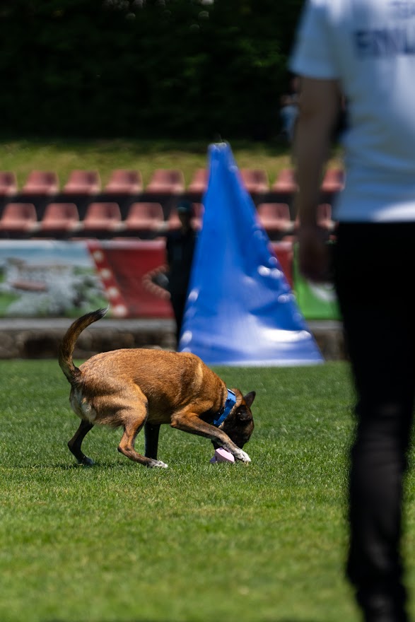 FCI SAR WC 2026_Foto-Miha Avgustin_129.jpg