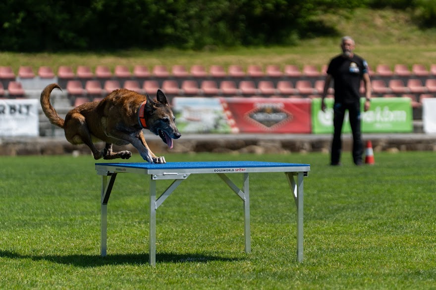 FCI SAR WC 2026_Foto-Miha Avgustin_149.jpg