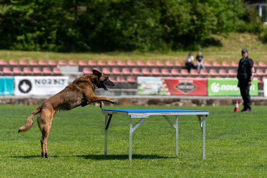 FCI SAR WC 2026_Foto-Miha Avgustin_160.jpg