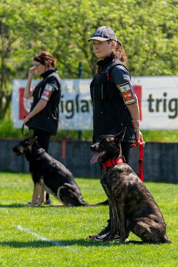 FCI SAR WC 2026_Foto-Miha Avgustin_121.jpg