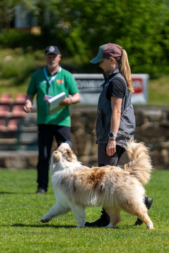 FCI SAR WC 2026_Foto-Miha Avgustin_135.jpg