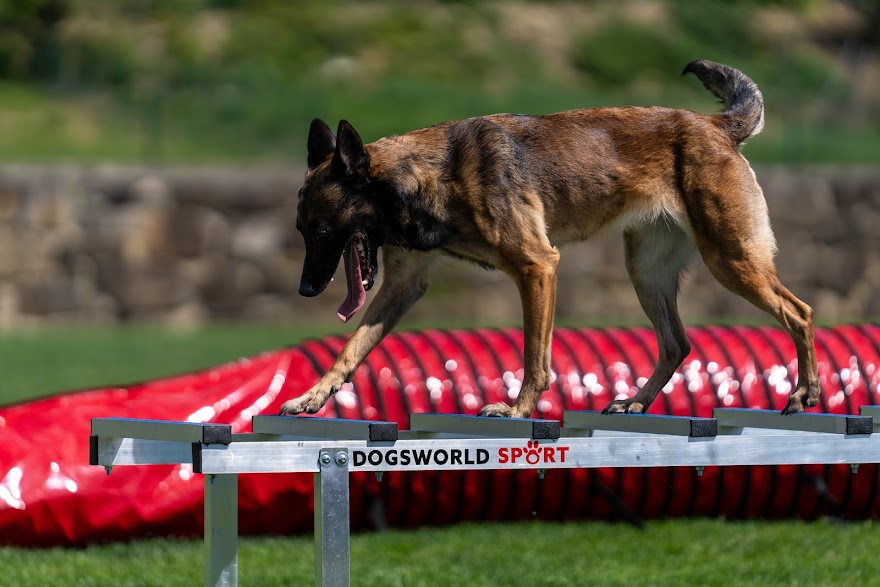 FCI SAR WC 2026_Foto-Miha Avgustin_175.jpg