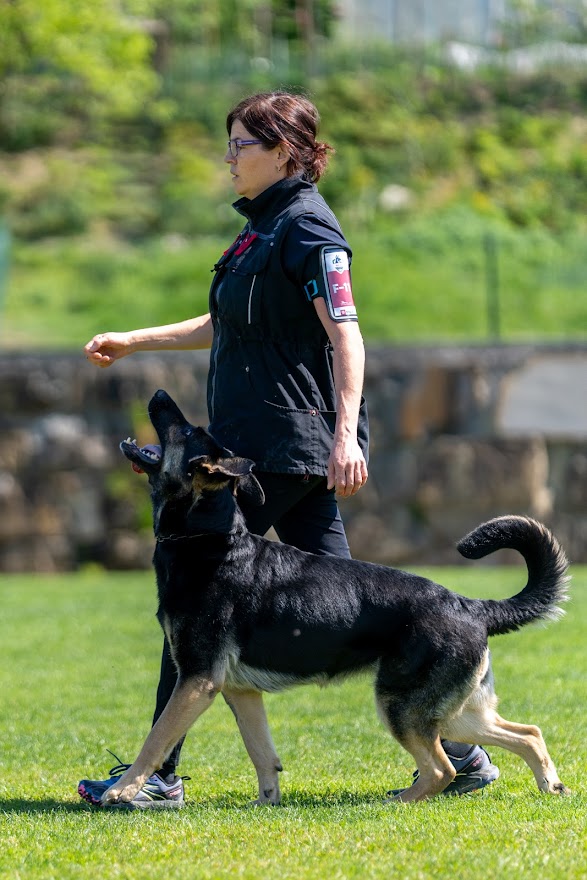FCI SAR WC 2026_Foto-Miha Avgustin_115.jpg