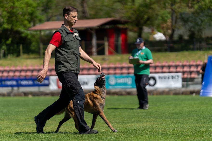 FCI SAR WC 2026_Foto-Miha Avgustin_143.jpg