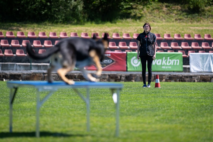 FCI SAR WC 2026_Foto-Miha Avgustin_117.jpg