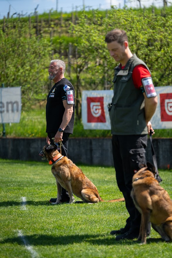 FCI SAR WC 2026_Foto-Miha Avgustin_152.jpg