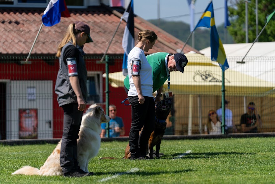 FCI SAR WC 2026_Foto-Miha Avgustin_124.jpg