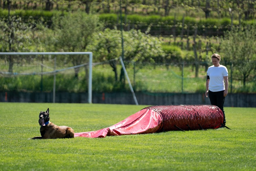 FCI SAR WC 2026_Foto-Miha Avgustin_131.jpg