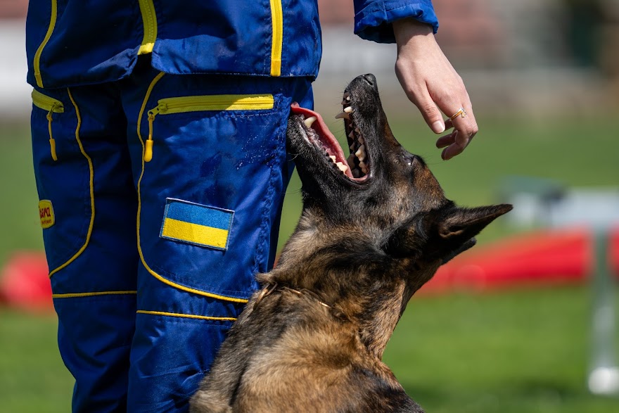 FCI SAR WC 2026_Foto-Miha Avgustin_176.jpg