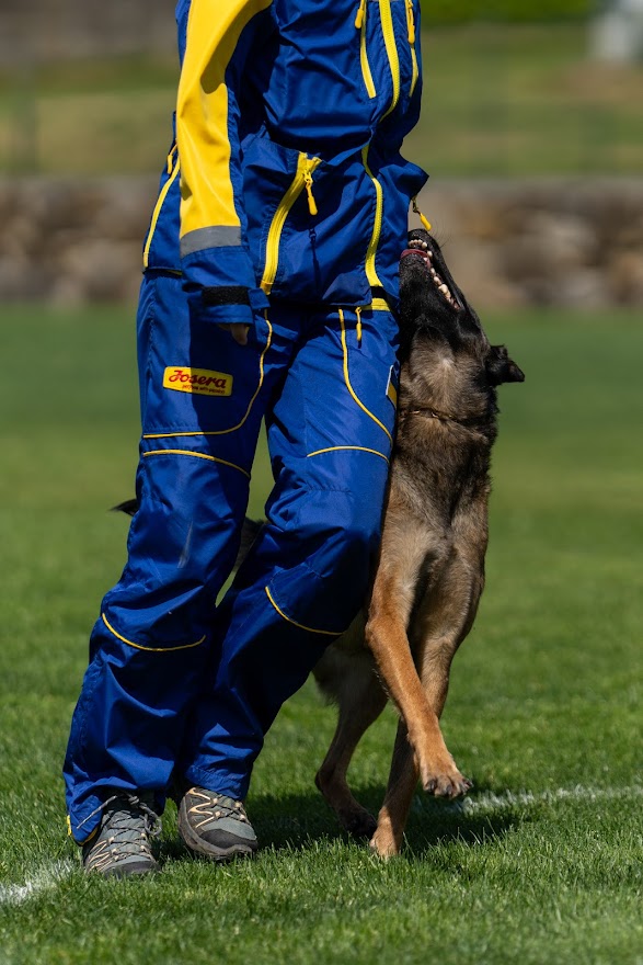 FCI SAR WC 2026_Foto-Miha Avgustin_172.jpg