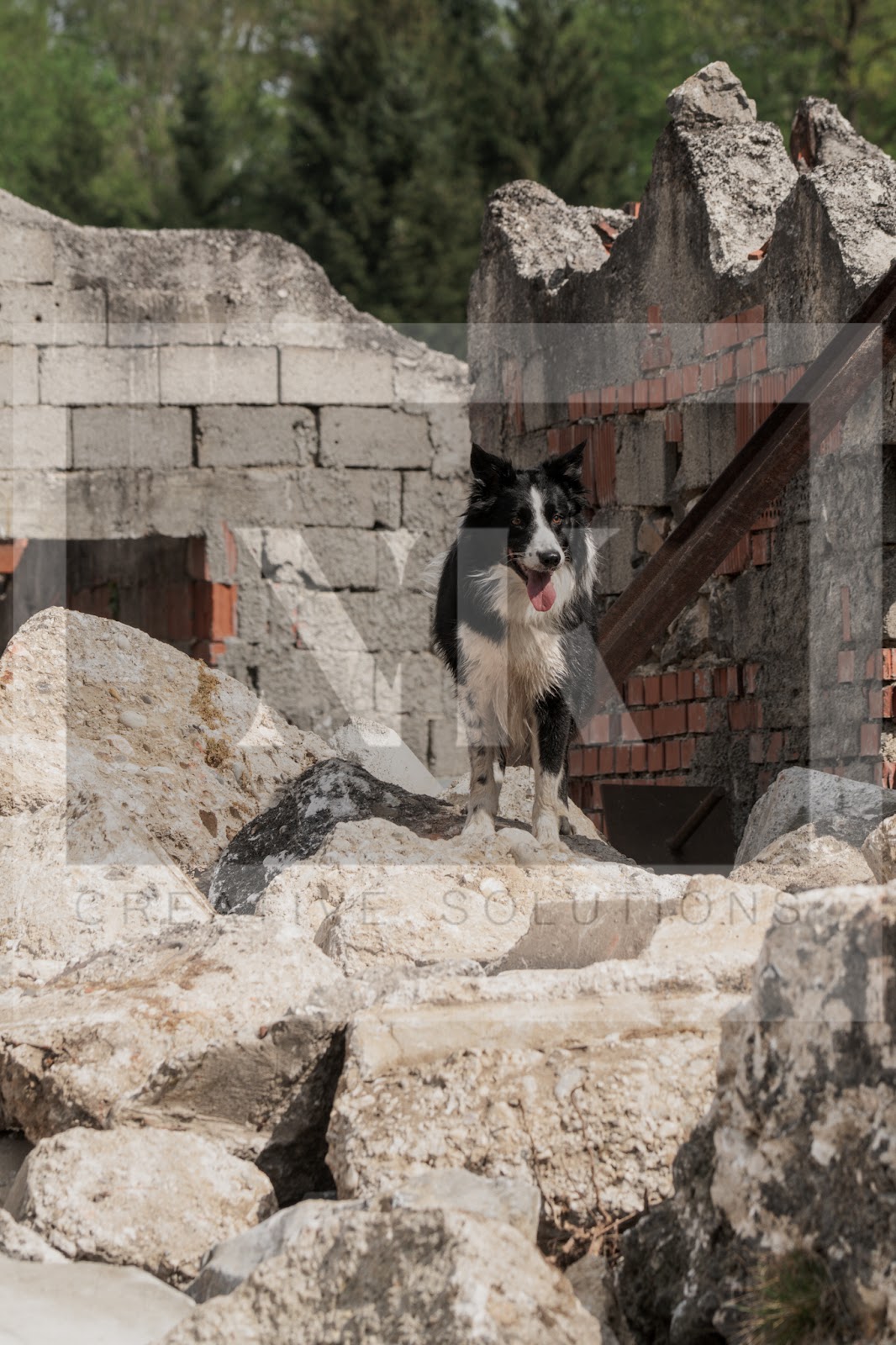 FCI_WCH_2026_RUBBLE_DAY1-170.jpg