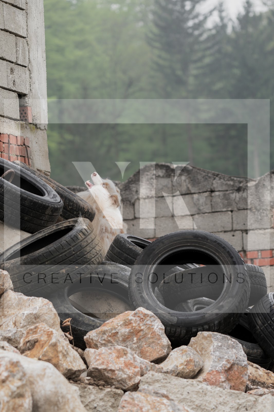 FCI_WCH_2026_RUBBLE_DAY1-28.jpg