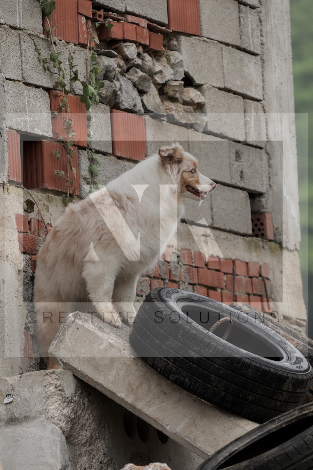 FCI_WCH_2026_RUBBLE_DAY1-29.jpg