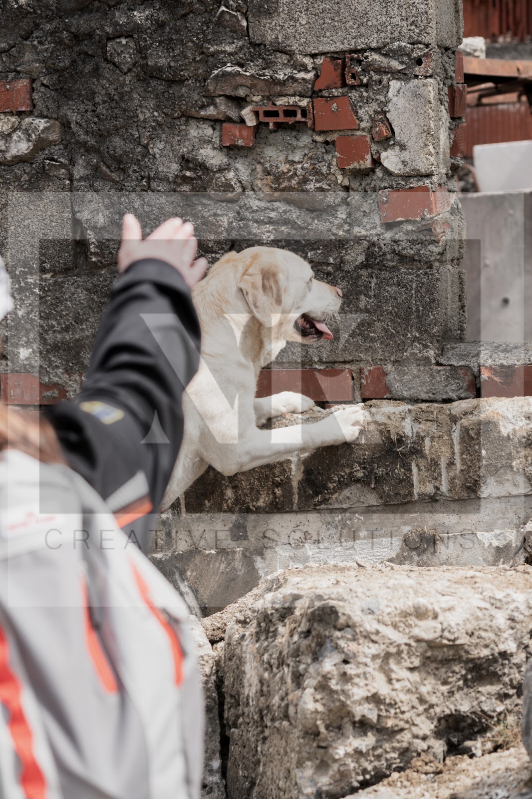 FCI_WCH_2026_RUBBLE_DAY1-122.jpg