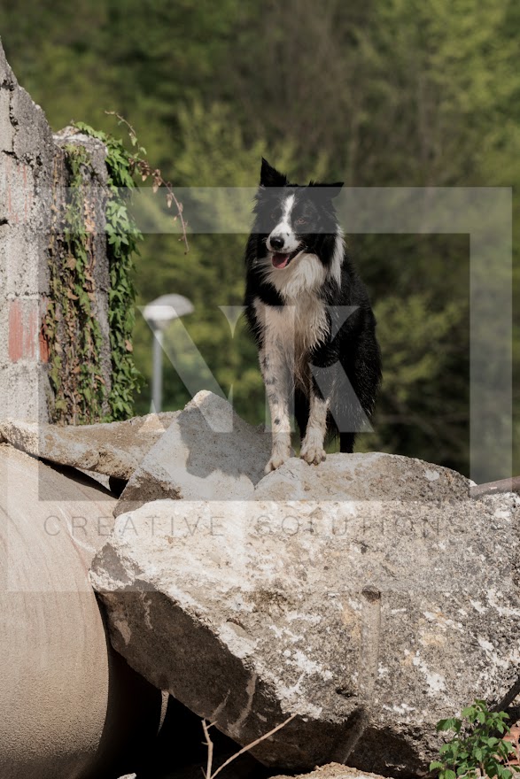FCI_WCH_2026_RUBBLE_DAY1-167.jpg