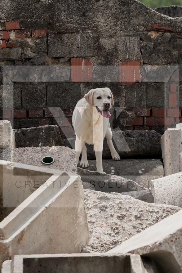 FCI_WCH_2026_RUBBLE_DAY1-126.jpg