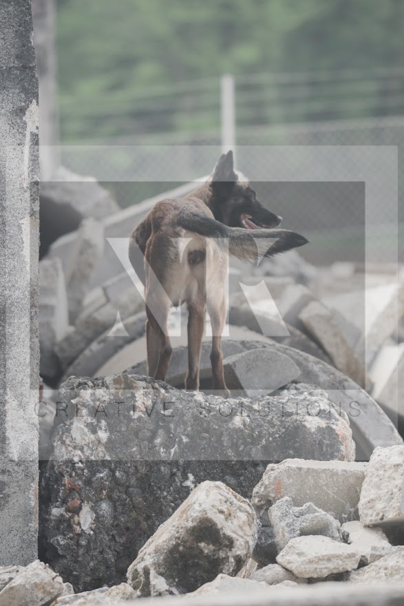 FCI_WCH_2026_RUBBLE_DAY1-109.jpg