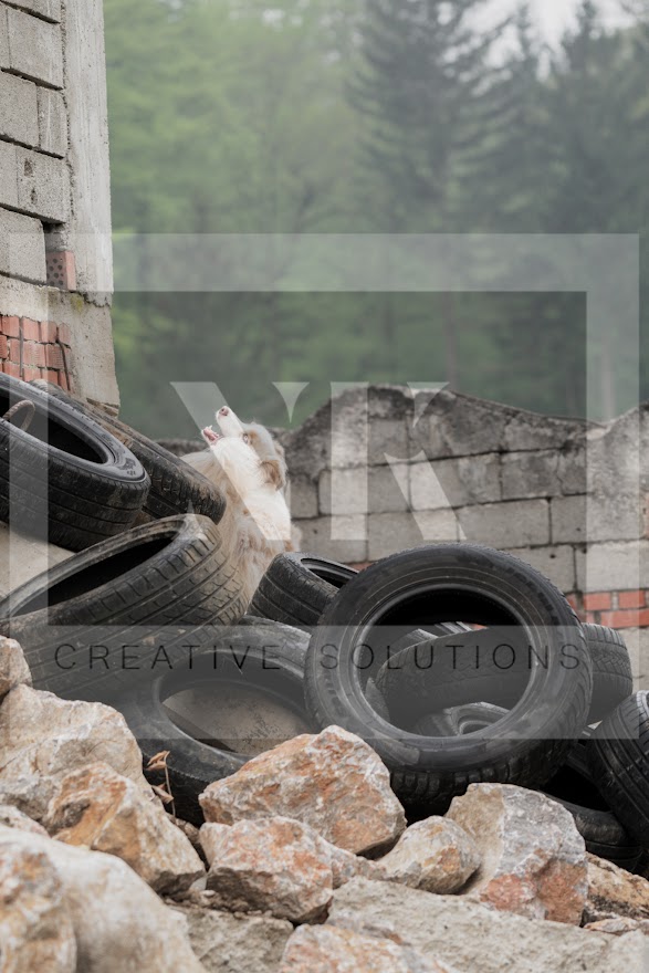 FCI_WCH_2026_RUBBLE_DAY1-28.jpg