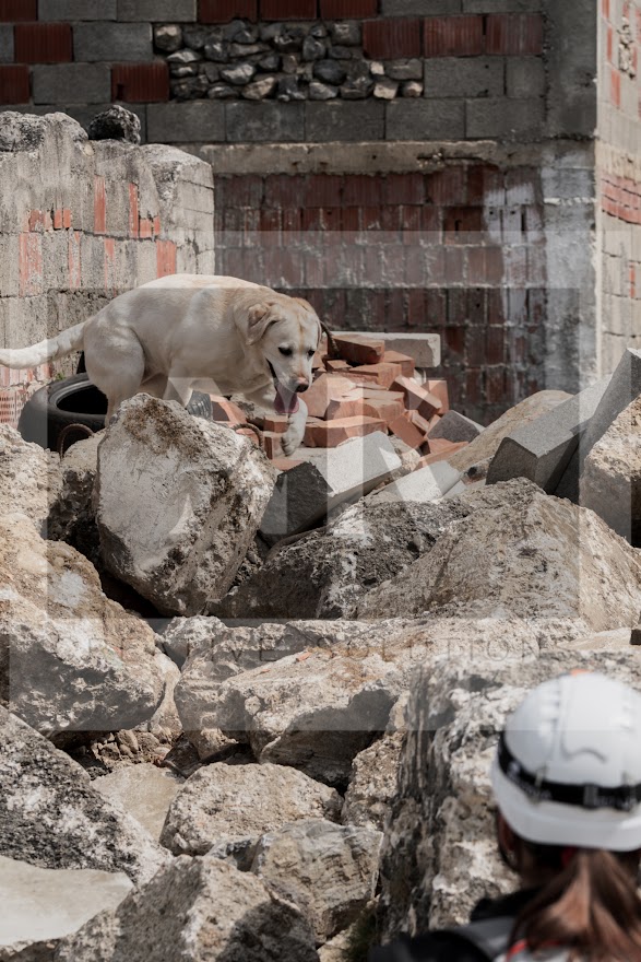 FCI_WCH_2026_RUBBLE_DAY1-124.jpg
