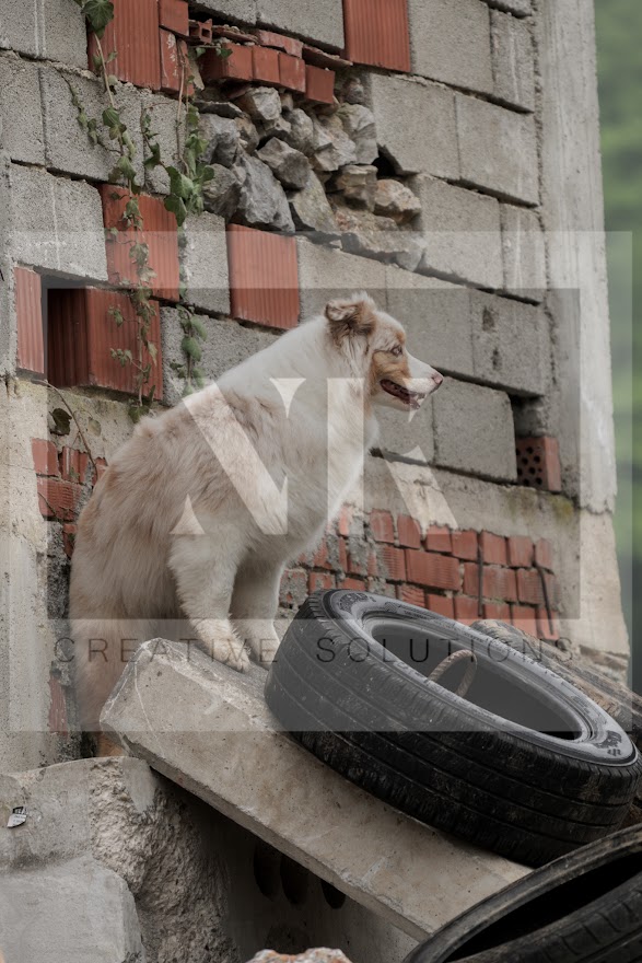 FCI_WCH_2026_RUBBLE_DAY1-29.jpg