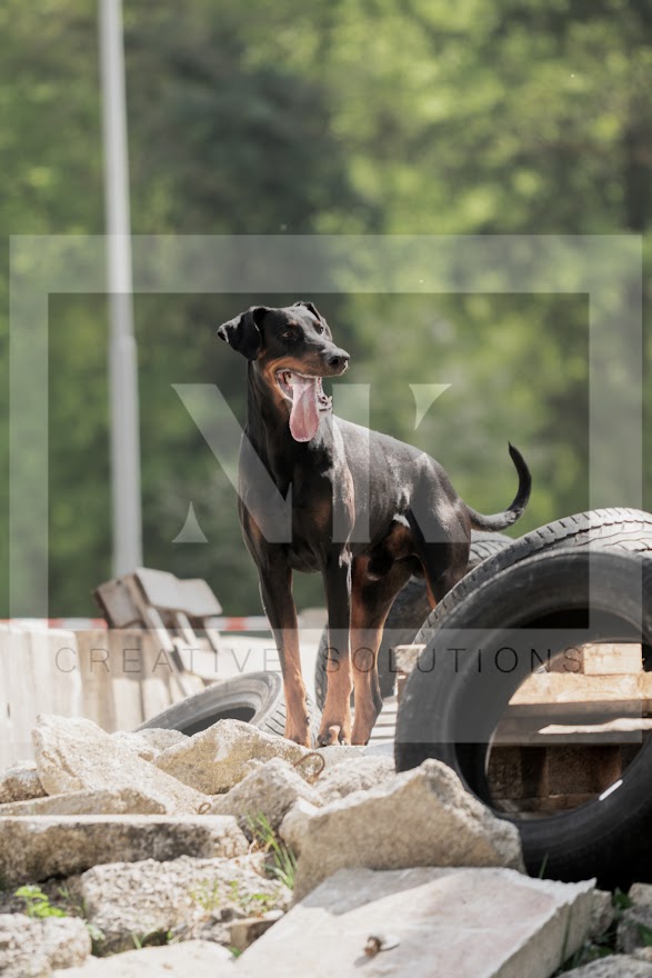FCI_WCH_2026_RUBBLE_DAY1-157.jpg