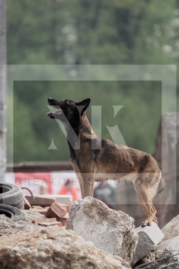 FCI_WCH_2026_RUBBLE_DAY1-107.jpg