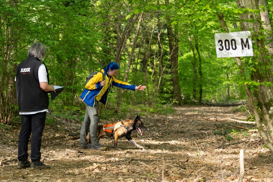 FCI SAR WC 2026_Foto-Miha Avgustin_10.jpg