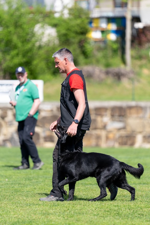 FCI SAR WC 2026_Foto-Miha Avgustin_54.jpg