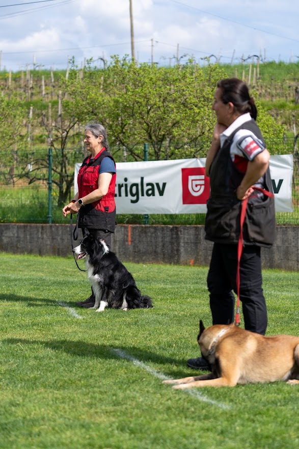 FCI SAR WC 2026_Foto-Miha Avgustin_76.jpg