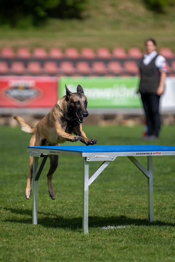 FCI SAR WC 2026_Foto-Miha Avgustin_72.jpg