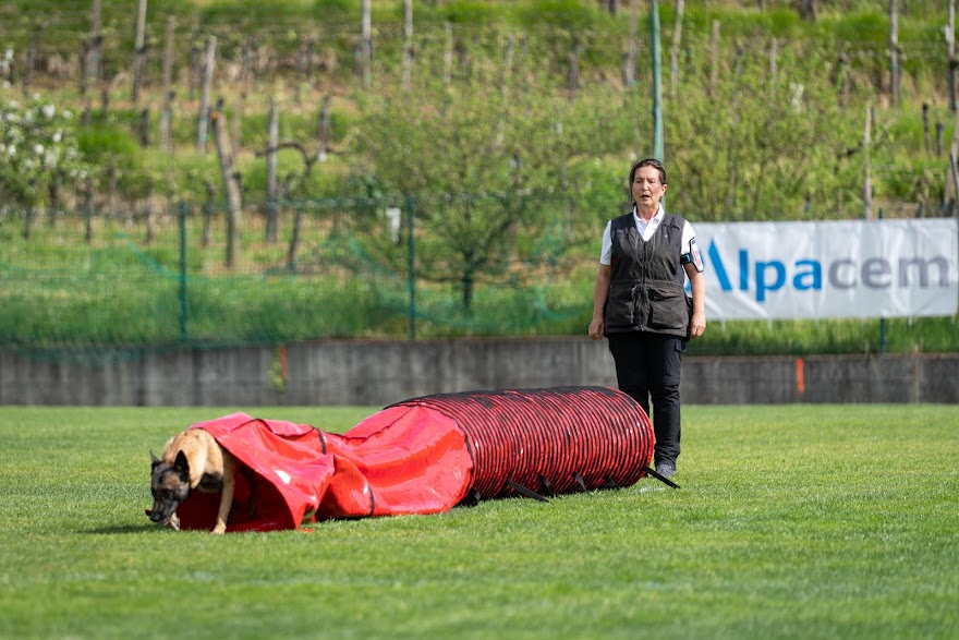 FCI SAR WC 2026_Foto-Miha Avgustin_73.jpg
